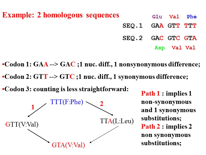 •Codon 1: GAA --> GAC ;1 nuc. diff., 1 nonsynonymous difference; •Codon 2: GTT